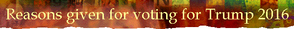 Reasons given for voting for Trump 2016